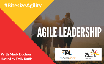 Agile Leadership